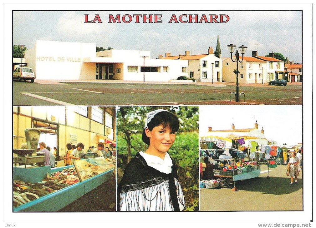 Numéro urgence vétérinaire LA MOTHE-ACHARD 85150