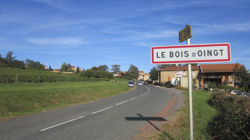 Numéro urgence vétérinaire LE BOIS-D'OINGT 69620