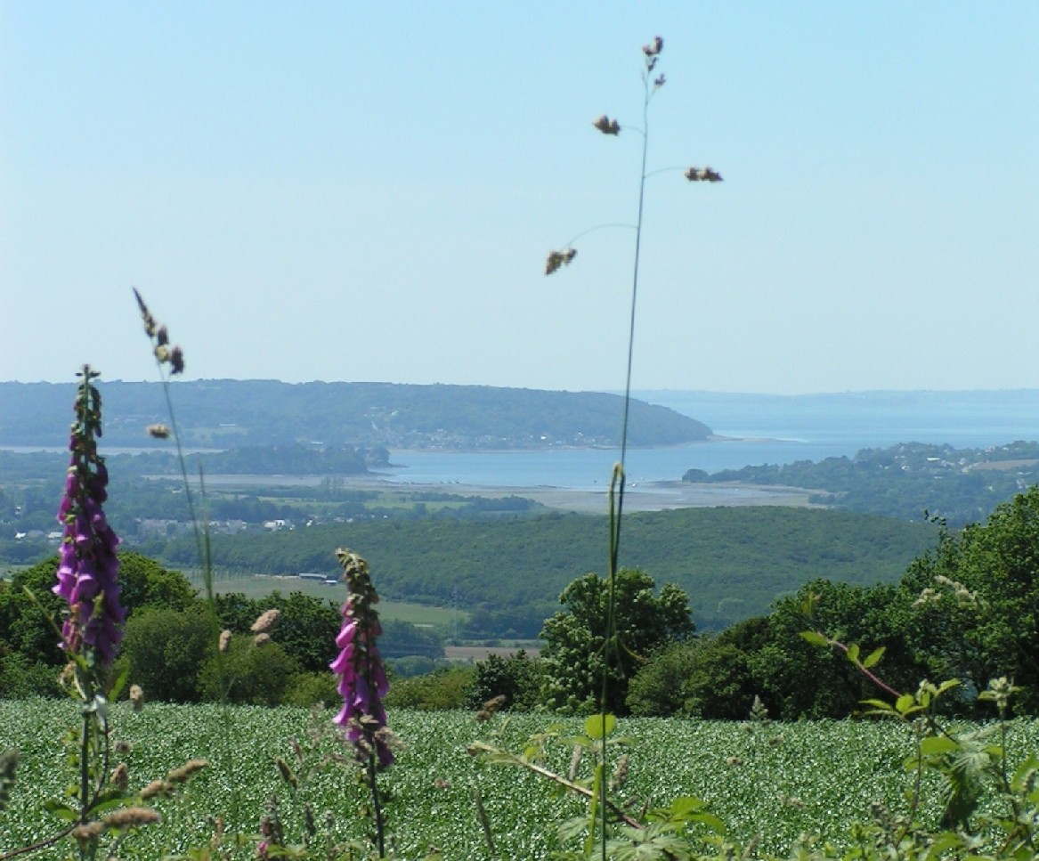 Numéro urgence vétérinaire PONT-DE-BUIS-LÈS-QUIMERCH 29590