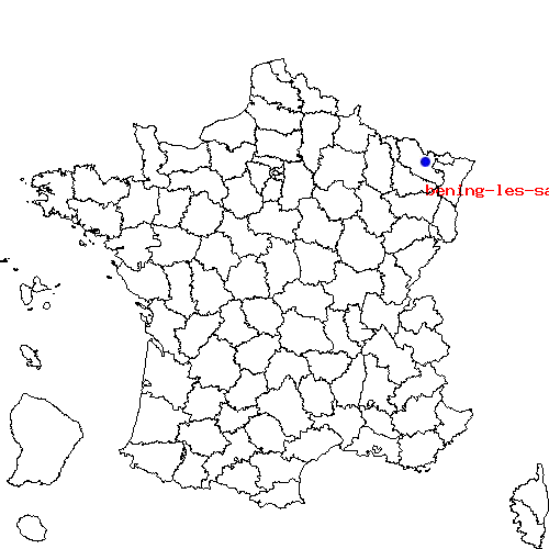 Numéro urgence vétérinaire BÉNING-LÈS-SAINT-AVOLD 57800