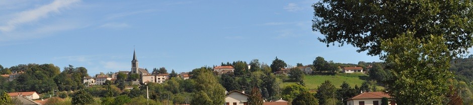 Numéro urgence vétérinaire SAINT-CYR-LES-VIGNES 42210