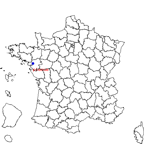 Numéro urgence vétérinaire PLESSÉ 44630